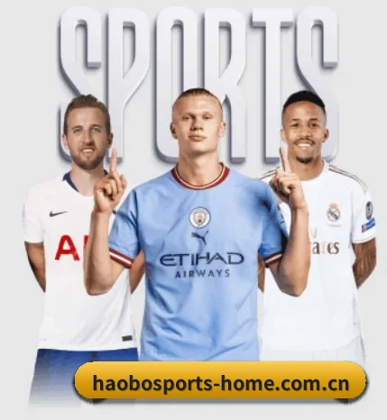 五大服务分区,信息按项目分类 - 多运动项目内容板块（HAOBOSPORTS）